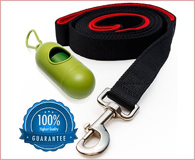 Benicci dog leash with bag dispenser