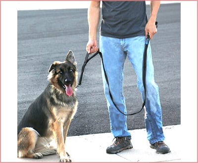 Max and Neo double handle traffic dog leash