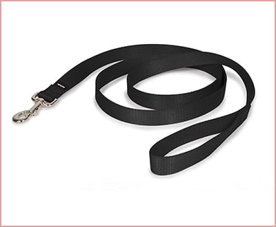 PetSafe dog leash