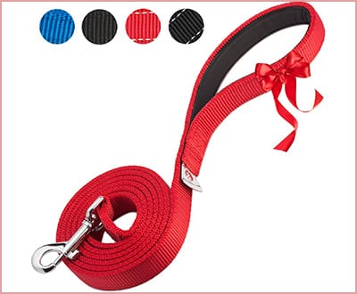PetsLovers Premium dog leash with heavy duty strap